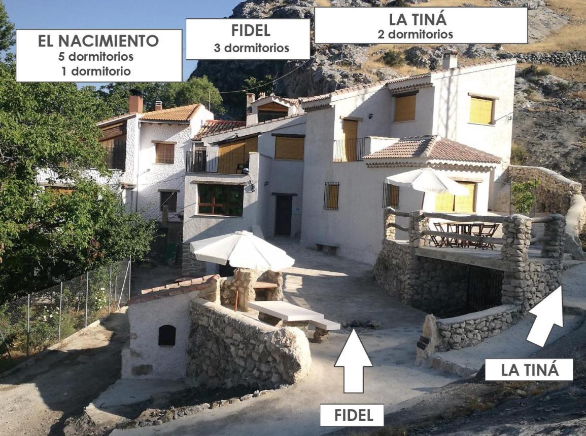 El Nacimiento *