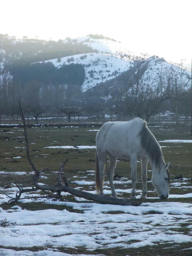 El Nacimiento Pontones (Andalucia)